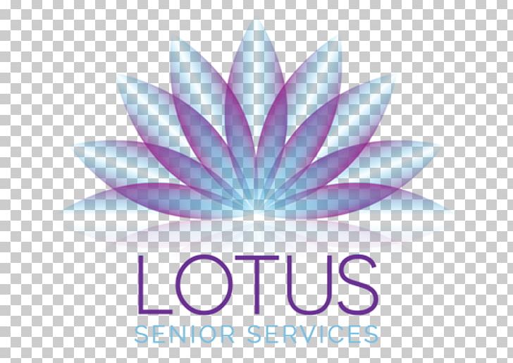 Real Estate Estate Agent Property Lotus PNG, Clipart, Art, Computer Wallpaper, Estate Agent, Flower, Graphic Design Free PNG Download