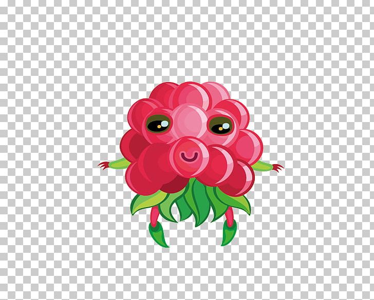 Red Raspberry Fruit Frutti Di Bosco PNG, Clipart, Auglis, Avatar, Cartoon, Cartoon Character, Cartoon Eyes Free PNG Download