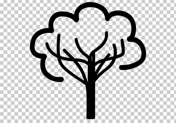 Tree Arborist Computer Icons PNG, Clipart, Arborist, Arecaceae, Artwork, Black And White, Branch Free PNG Download