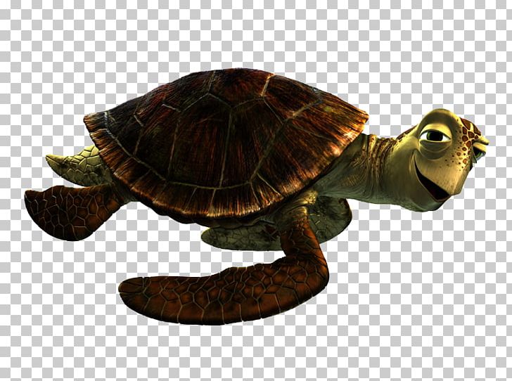 Crush Marlin Finding Nemo Pixar PNG, Clipart, Andrew Stanton, Box Turtle, Chelydridae, Common Snapping Turtle, Crush Free PNG Download