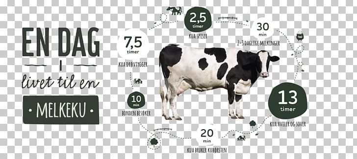 Dairy Cattle How Cows Make Milk Baka Milk Quality PNG, Clipart, Arla Foods, Baka, Barn, Brand, California Milk Processor Board Free PNG Download