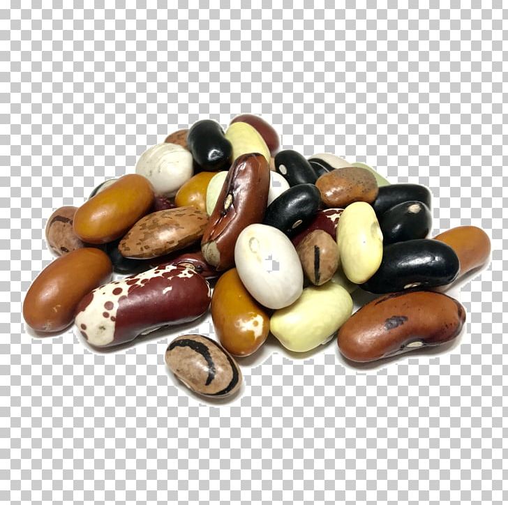 Organic Food Bean Shady Side Farm Inc Minestrone PNG, Clipart, Bean, Black Beans, Chocolate Coated Peanut, Commodity, Confectionery Free PNG Download