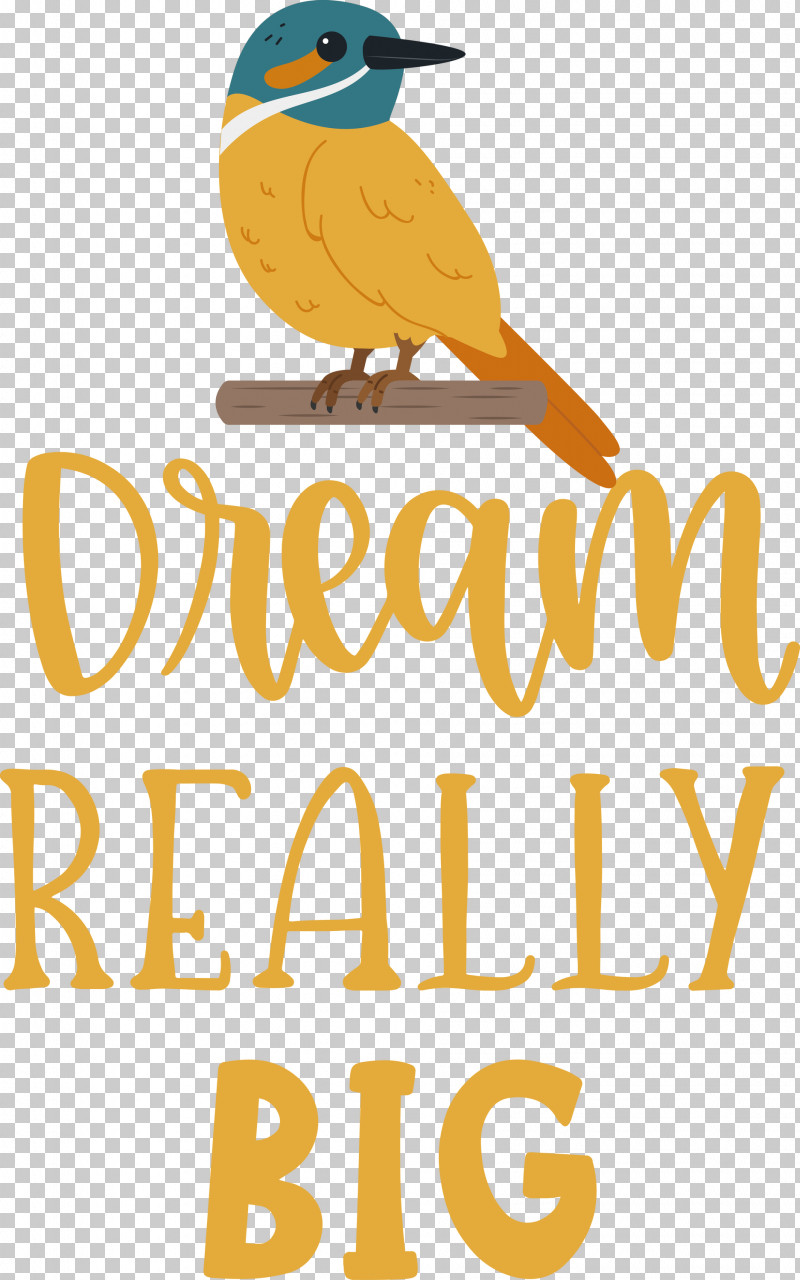 Dream Really Big Dream Dream Catcher PNG, Clipart, Beak, Biology, Birds, Dream, Dream Catcher Free PNG Download
