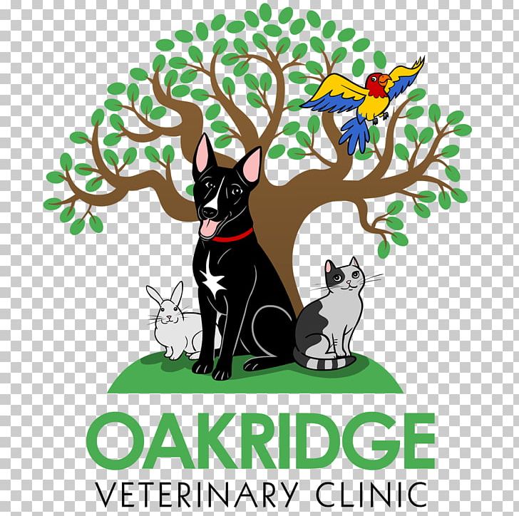 Cat Dog Oakridge Veterinary Clinic ARCHVET Animal Hospital Sunnyvale Veterinary Clinic PNG, Clipart, Archvet Animal Hospital, Branch, California, Cat, Dog Free PNG Download
