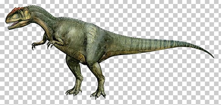 Daspletosaurus Allosaurus Albertosaurus Pachycephalosaurus Tyrannosaurus PNG, Clipart, Afro, Albertosaurus, Allosaurus, Animal Figure, Animals Free PNG Download