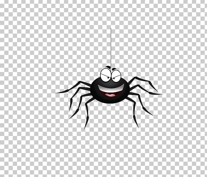 Spider Web Black House Spider PNG, Clipart, Background Black, Black, Black And White, Black Background, Black Board Free PNG Download