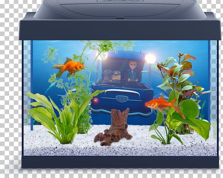 Tetra Aquariums Fishkeeping Reef Aquarium PNG, Clipart, Aquarium, Aquarium Decor, Aquarium Filters, Aquarium Lighting, Aquariums Free PNG Download