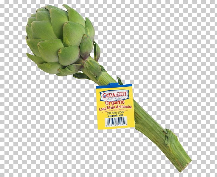 Vegetable Plant PNG, Clipart, Artichokes, Food Drinks, Plant, Vegetable Free PNG Download