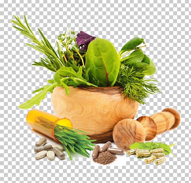 Medicinal Plants Herbalism Medicine Ayurveda PNG, Clipart, Alternative Health Services, Ayurveda, Diet Food, Flowerpot, Food Free PNG Download