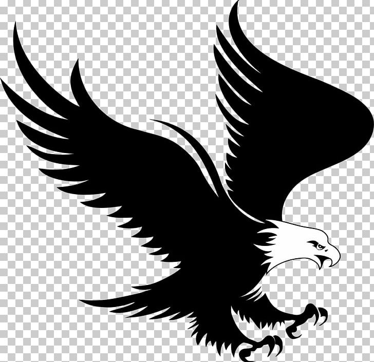 Bald Eagle Logo PNG, Clipart, Animals, Bald Eagle, Beak, Bird, Bird Of Prey Free PNG Download