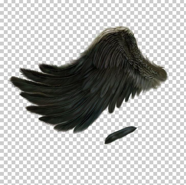 dark angel wings png