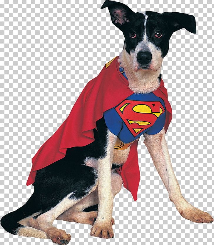 German Shepherd Spider-Man Superman Superhero Costume PNG, Clipart, Animals, Batman, Buycostumescom, Companion Dog, Costume Free PNG Download