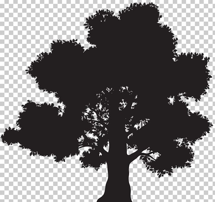 Oak Silhouette Tree PNG, Clipart, Black And White, Clip Art, Clipart, Font, Illustration Free PNG Download