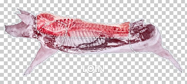 Spare Ribs Pork Bacon Ham PNG, Clipart, Animal Figure, Animal Source Foods, Bacon, Beef, Bone Free PNG Download