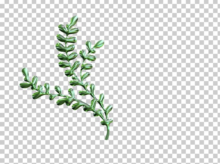 Twig Plant Stem Leaf Font PNG, Clipart, Branch, Grass, Leaf, Leaf Divider, Organism Free PNG Download