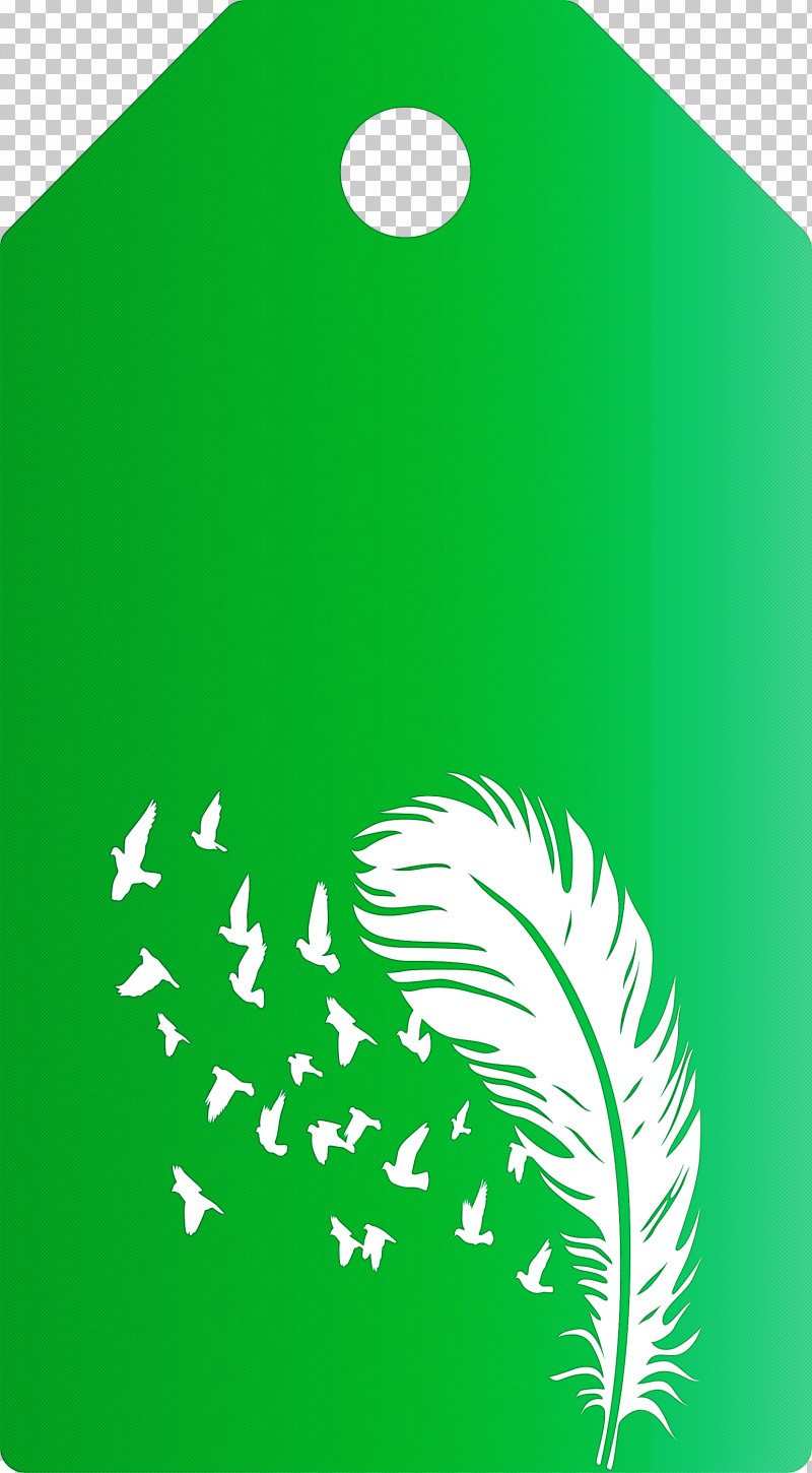 Feather Birds Tag PNG, Clipart, Biology, Feather Birds Tag, Leaf, Monstera, Monstera Obliqua Free PNG Download