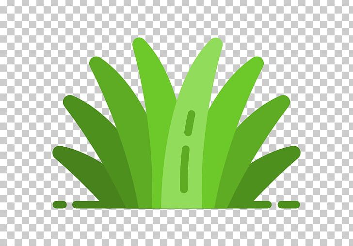 Computer Icons Lawn Garden Artificial Turf PNG, Clipart, Artificial Turf, Computer Icons, Garden, Grass, Grass Family Free PNG Download