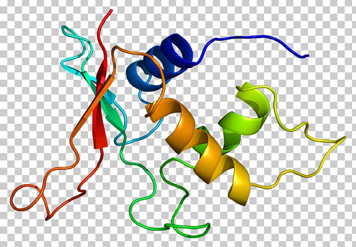 IRF2 Interferon Regulatory Factors IRF7 IRF1 PNG, Clipart, Area, Artwork, Gene, Gnu, Interferon Free PNG Download