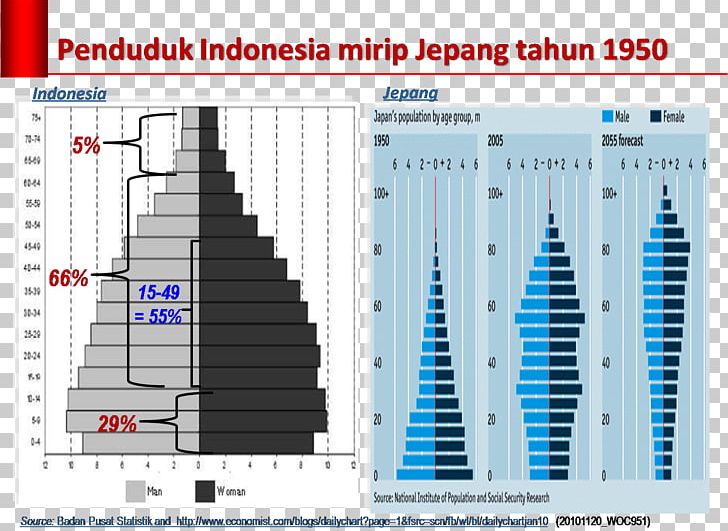 Japanese Occupation Of The Dutch East Indies Population Pyramid Demography PNG, Clipart, Brand, Country, Demography, Diagram, Engineering Free PNG Download