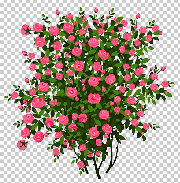 Rose Shrub Drawing PNG, Clipart, Annual Plant, Artificial Flower, Branch, Cut Flowers, Floral Design Free PNG Download