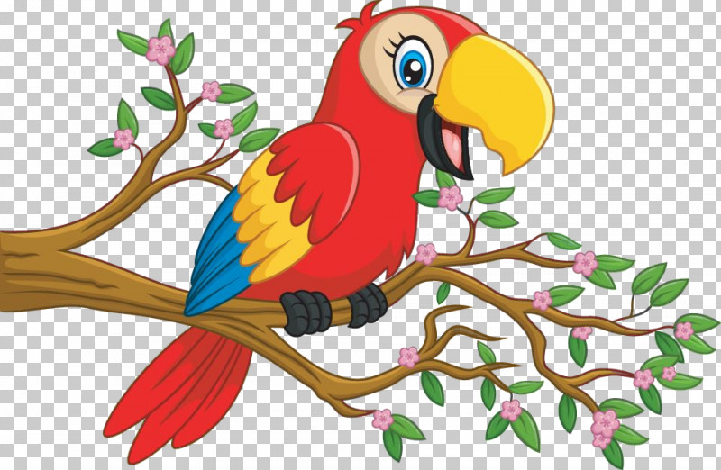 Bird Macaw Parrot Branch Beak PNG, Clipart, Animal Figure, Beak, Bird, Branch, Macaw Free PNG Download