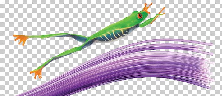 Telus Optical Fiber Internet Service Provider Mobile Phones PNG, Clipart, Amphibian, Business, Fiber, Frog, Internet Free PNG Download