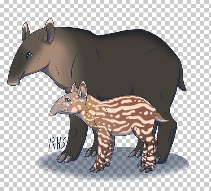 Bear Tapir Snout Terrestrial Animal PNG, Clipart, Animal, Animal Figure, Animals, Bear, Carnivoran Free PNG Download