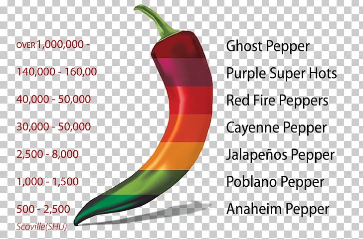 Chili Pepper Jalapeño Bell Pepper Cayenne Pepper Scoville Unit PNG, Clipart, Bell Pepper, Bell Peppers And Chili Peppers, Capsicum Annuum, Cayenne Pepper, Chili Pepper Free PNG Download