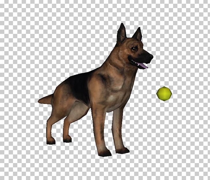 German Shepherd Kunming Wolfdog Tervuren King Shepherd Puppy PNG, Clipart, Animals, Breed, Carnivoran, Dog, Dog Breed Free PNG Download