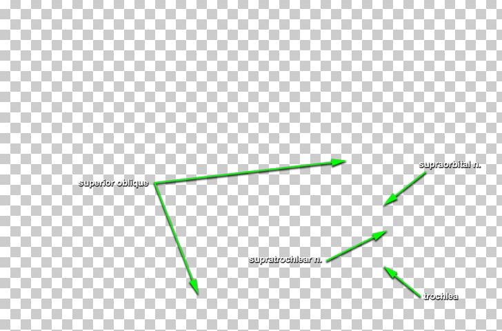 Line Angle PNG, Clipart, Angle, Art, Diagram, Grass, Green Free PNG Download