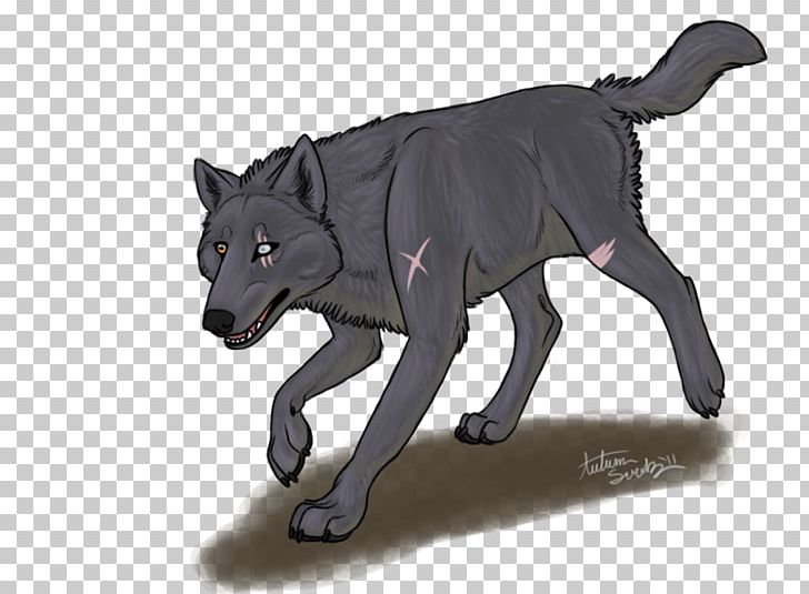 Gray Wolf Fauna Fur Snout Wildlife PNG, Clipart, Animal Figure, Carnivoran, Chasing Dreams, Dog Like Mammal, Fauna Free PNG Download