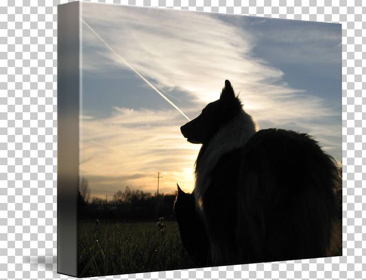 Stock Photography Silhouette Sky Plc PNG, Clipart, Animals, Photography, Sheltie, Silhouette, Sky Free PNG Download