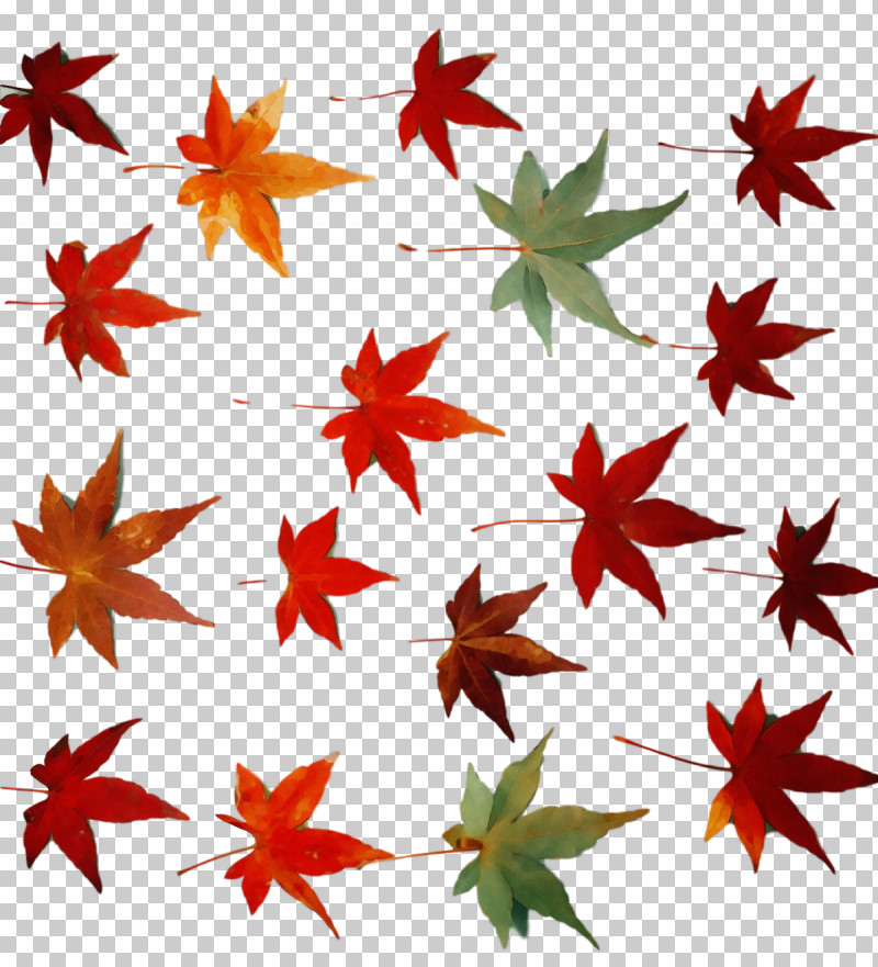 Leaf Flower Maple Leaf / M Line Pattern PNG, Clipart, Flower, Geometry, Leaf, Line, Maple Leaf M Free PNG Download
