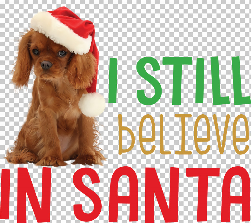 Believe In Santa Santa Christmas PNG, Clipart, Believe In Santa, Breed, Christmas, Companion Dog, Crossbreed Free PNG Download