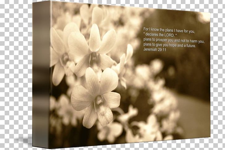 Desktop Computer White PNG, Clipart, Bible Verses, Black And White, Blossom, Computer, Computer Wallpaper Free PNG Download