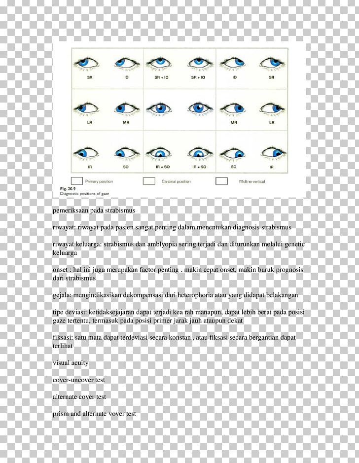 Document Line PNG, Clipart, Area, Art, Category, Diagram, Document Free PNG Download