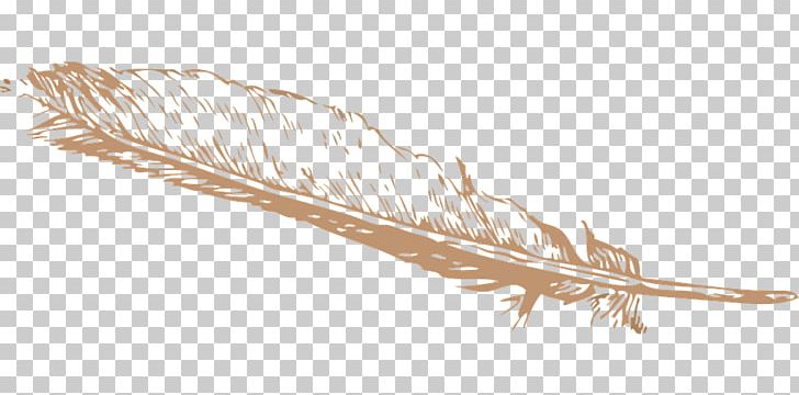 Feather PNG, Clipart, Animals, Clip Art, Color, Commodity, Download Free PNG Download