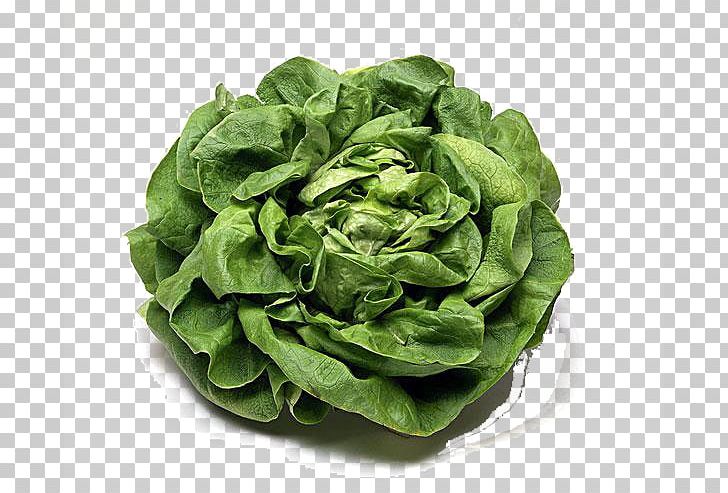 Romaine Lettuce Cabbage Vegetarian Cuisine Cruciferous Vegetables Spring Greens PNG, Clipart, Cabbage Roses, Cartoon, Cartoon Cabbage, Cartoon Pictures, Chard Free PNG Download
