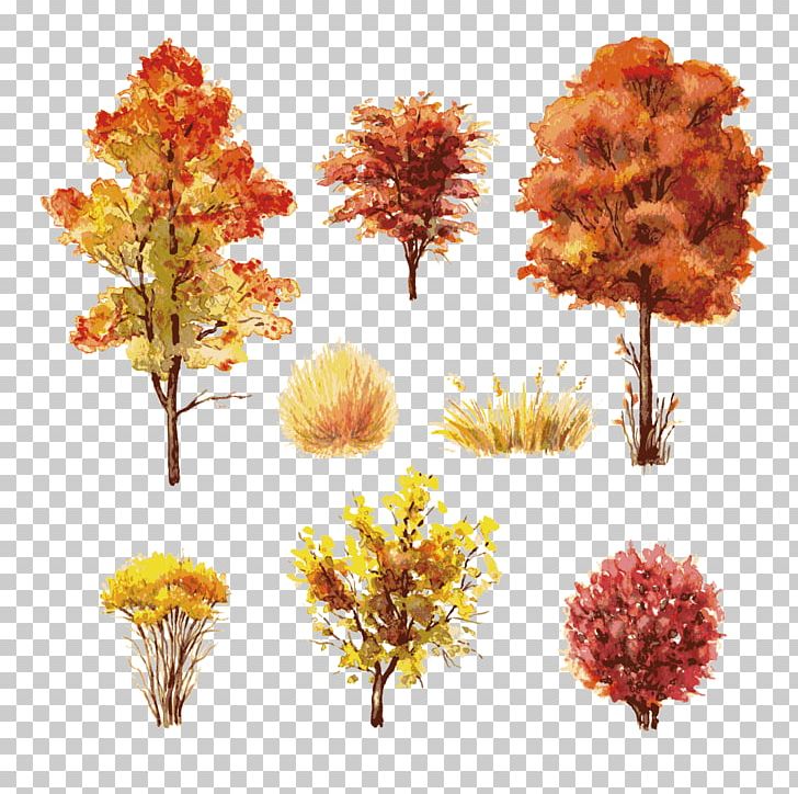 Shrub Autumn Leaf Color Tree PNG, Clipart, Autumn, Autumn Leaves, Big Tree, Branch, Chrysanths Free PNG Download