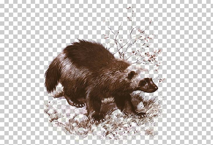 Wolverine Badger Painting Art Animal PNG, Clipart, Animal, Art, Artist, Art Museum, Badger Free PNG Download