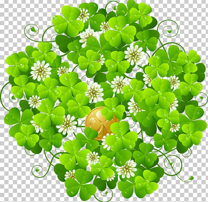 Four-leaf Clover PNG, Clipart, Clip Art, Four Leaf Clover Free PNG Download