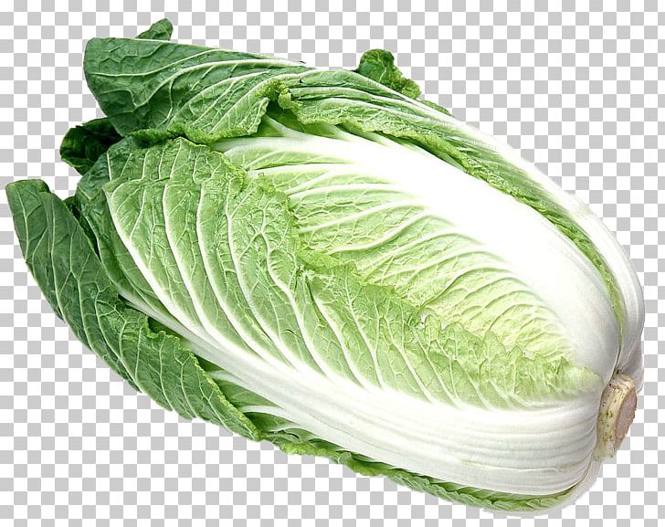 Napa Cabbage Malatang Chinese Cuisine Vegetable PNG, Clipart, Cabbage, Cabbage Leaves, Cabbage Roses, Cartoon Cabbage, Chard Free PNG Download