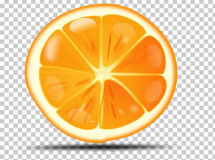 Orange Slice PNG, Clipart, Blog, Circle, Citrus, Computer Icons, Download Free PNG Download