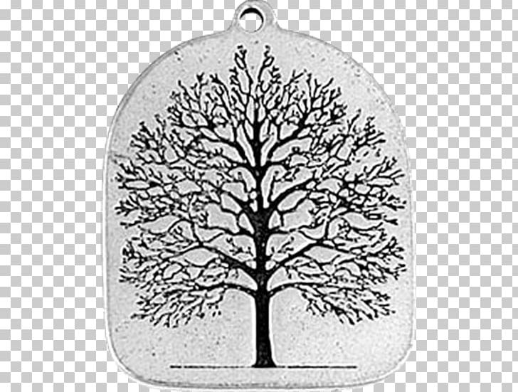 Tree Of Life Genealogy Genealogical DNA Test Human Y-chromosome DNA Haplogroup PNG, Clipart,  Free PNG Download