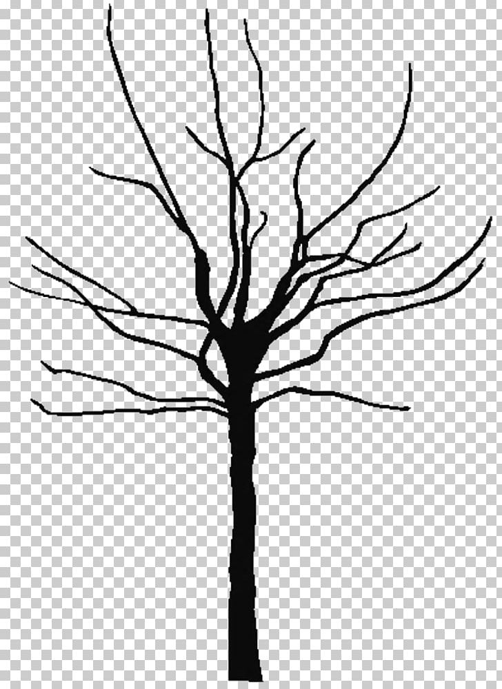 Trunk PNG, Clipart, Artwork, Bare, Black And White, Branch, Coloring Book Free PNG Download