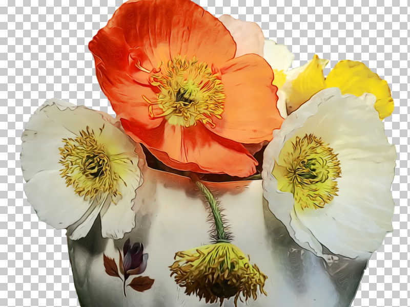 Cut Flowers Wildflower Anemone Petal Flower PNG, Clipart, Anemone, Cut Flowers, Flower, Paint, Petal Free PNG Download