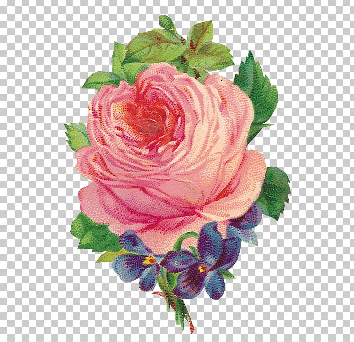 Garden Roses Flower PNG, Clipart, Artificial Flower, Blume, Cut Flowers, Diary, Drawing Free PNG Download
