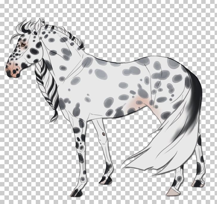 Mustang Stallion Mare Mane Quagga PNG, Clipart, Animal, Animal Figure, Black And White, Horse, Horse Like Mammal Free PNG Download