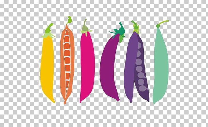 Pea Soup Pigeon Pea Illustration PNG, Clipart, Bean, Color, Colorful Background, Coloring, Color Pencil Free PNG Download