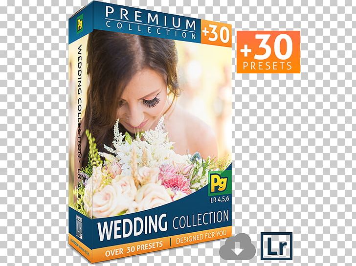 Adobe Lightroom Photography Mini Paceman PNG, Clipart, Adobe Lightroom, Advertising, Art, Bestseller, Bride Scam Free PNG Download